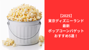 ディズニーポップコーンバケット