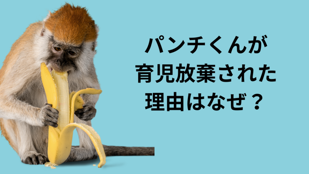 パンチ君が育児放棄されたのはなぜ？