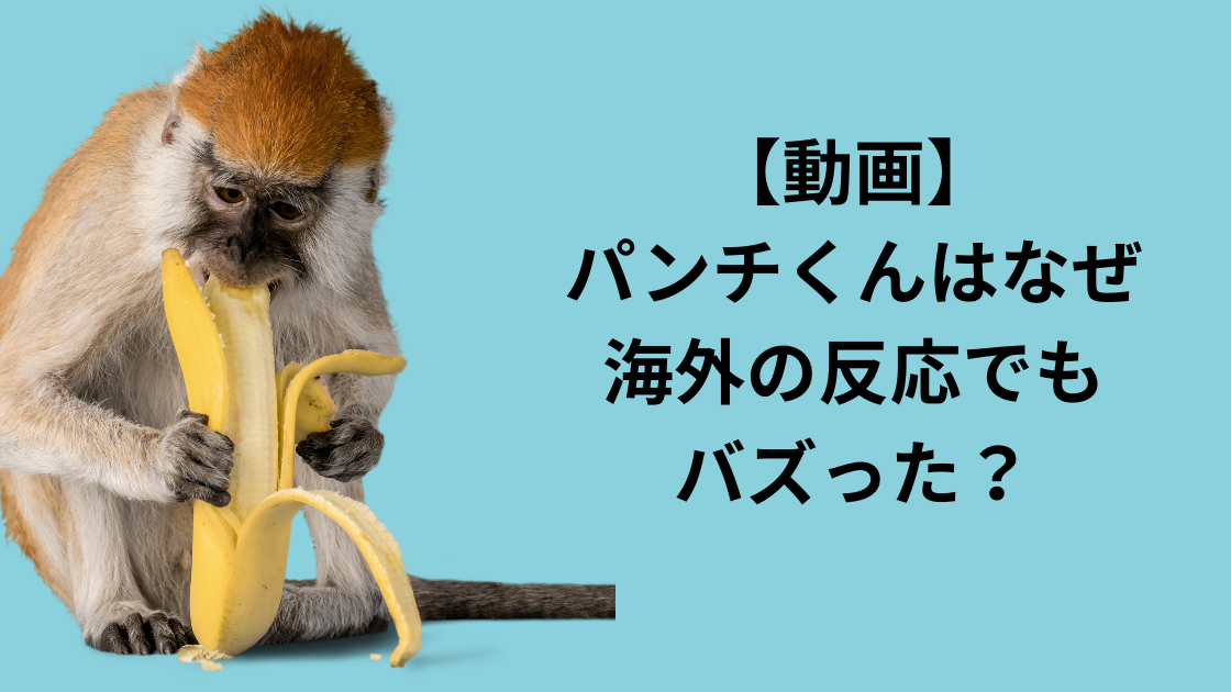 パンチ全米デビュー