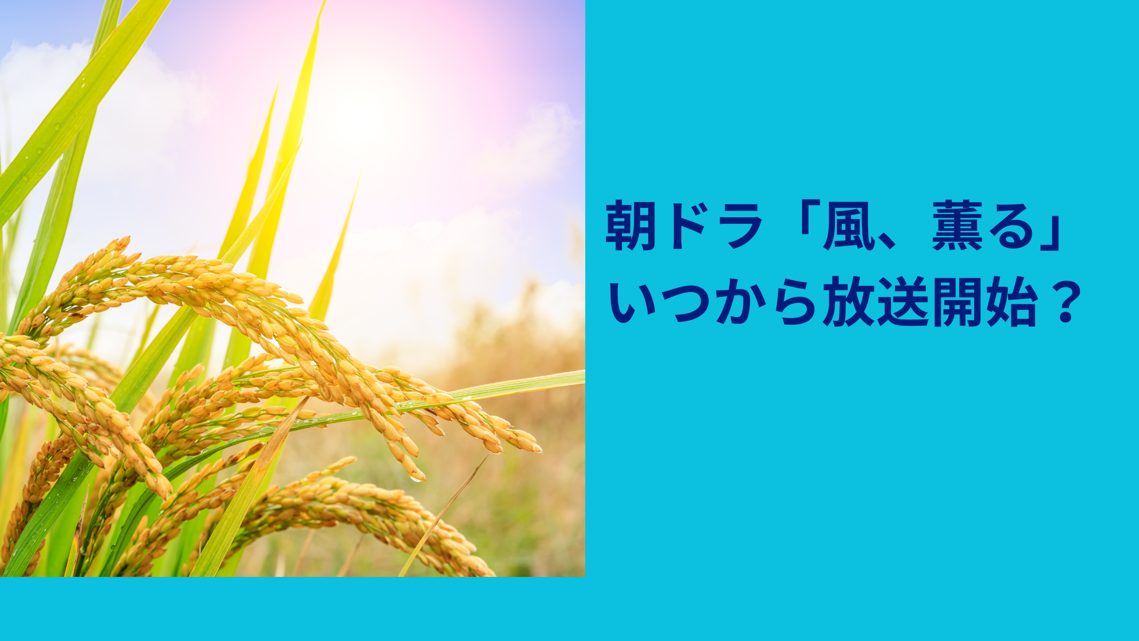 風薫る放送日程