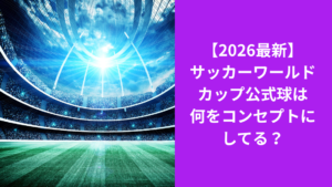 ワールドカップ公式球