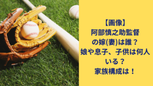 阿部慎之助